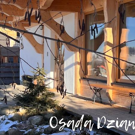 Osada Dzianisz N°54 Villa Buitenkant foto